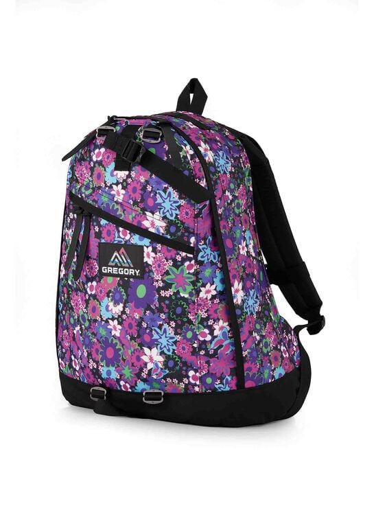 Gregory Day Pack 26L
